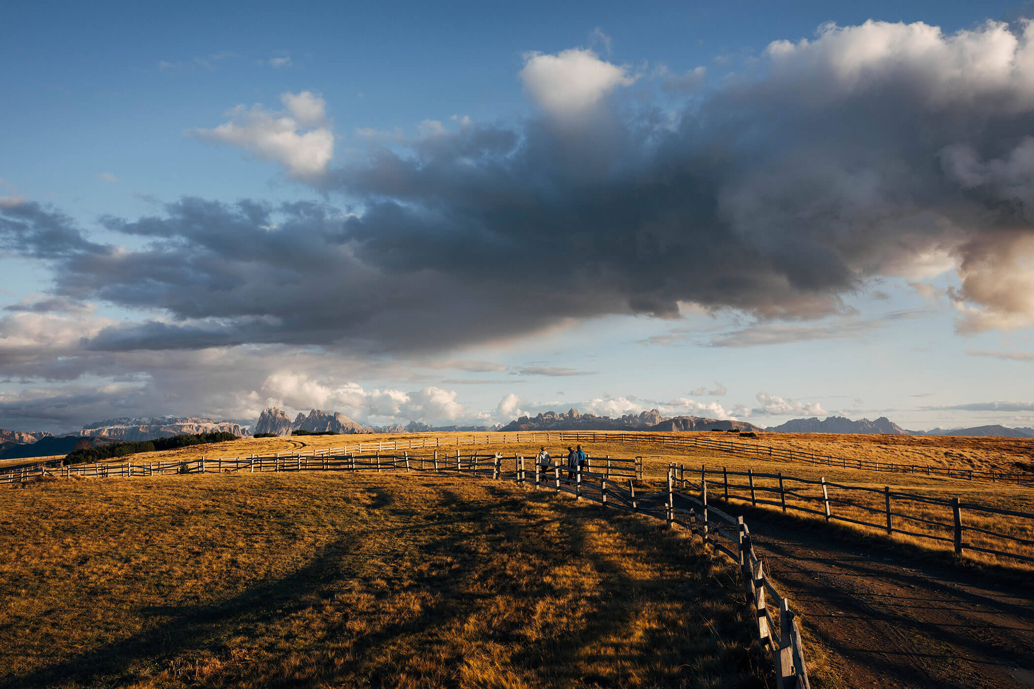 Ein gewundener Feldweg mit Holzzäunen durchquert ein goldenes Feld unter einem dramatisch bewölkten Himmel bei Sonnenuntergang. - Egger Apartments & Suites