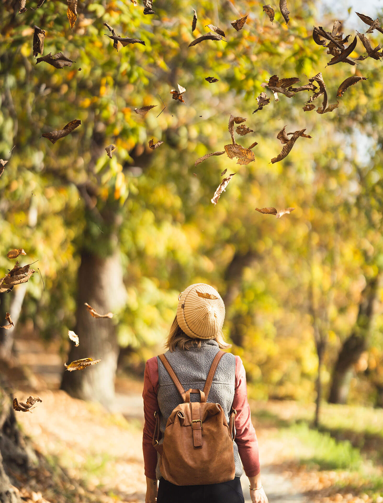 Eine Person mit einem Rucksack geht durch einen Wald, während um sie herum die Herbstblätter fallen. - Egger Apartments & Suites