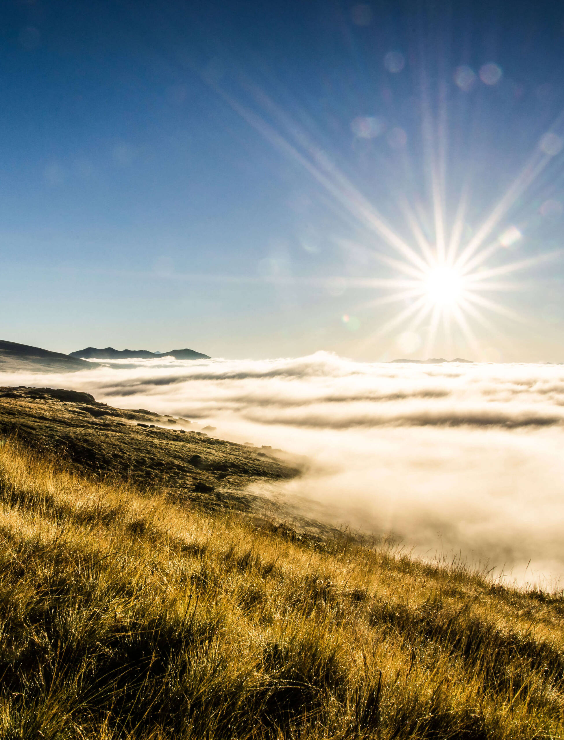 Goldenes Gras auf einem Hügel mit einer hellen Sonne über Wolken und fernen Bergen unter einem klaren blauen Himmel. - Egger Apartments & Suites